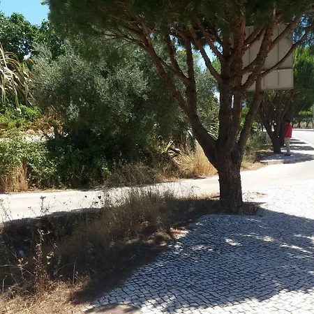 Av Fonte Coberta, Lagos, Fonte Coberta * Λάγος
