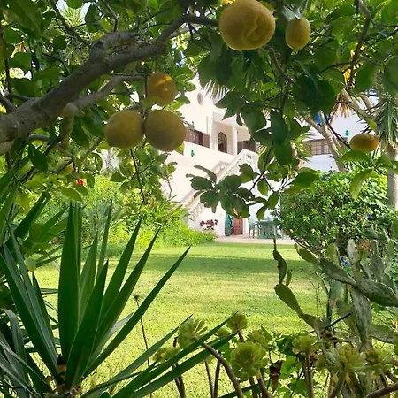 בית אירוח Av Fonte Coberta, Lagos, Fonte Coberta *