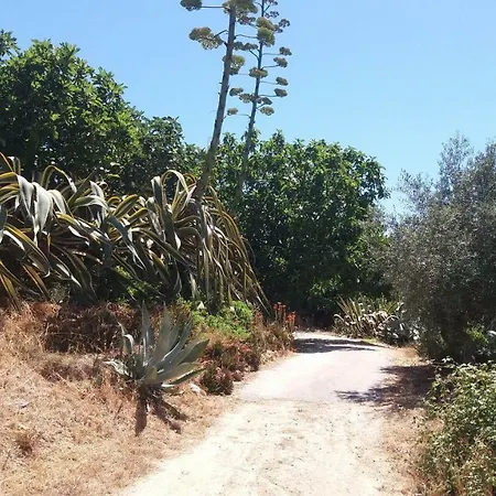 Av Fonte Coberta, Lagos, Fonte Coberta * Lagos