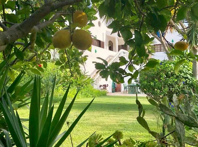 ホームステイ Av Fonte Coberta, Lagos, Fonte Coberta *