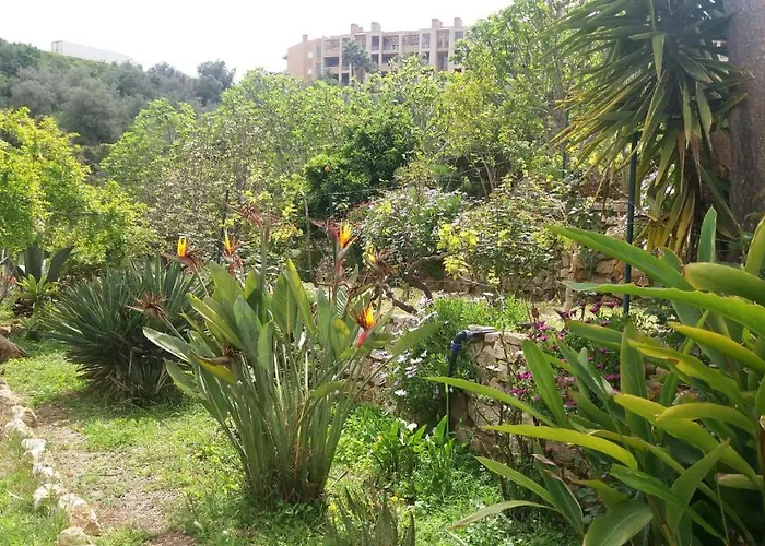 Av Fonte Coberta, Lagos, Fonte Coberta