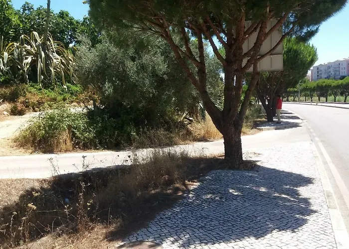 Av Fonte Coberta, Lagos, Fonte Coberta * ラゴス