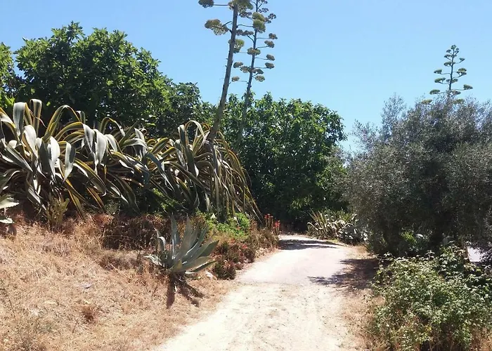 Av Fonte Coberta, Lagos, Fonte Coberta * ラゴス